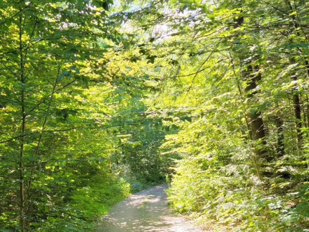 LOT 32 CONCESSION 5, Round Pond