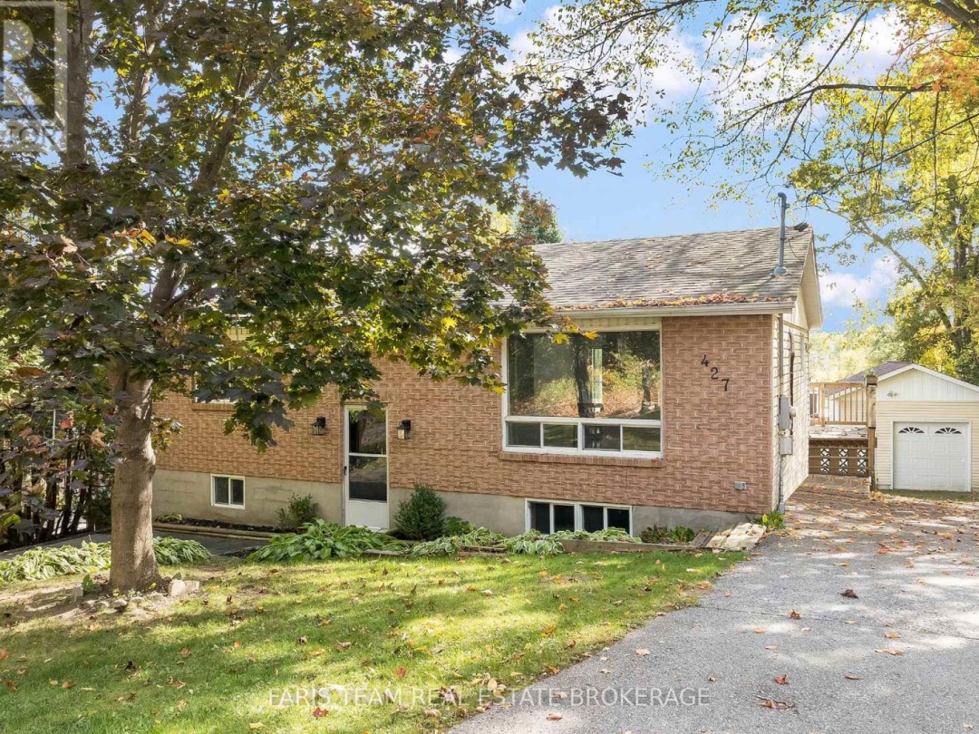 427 ANN STREET, 