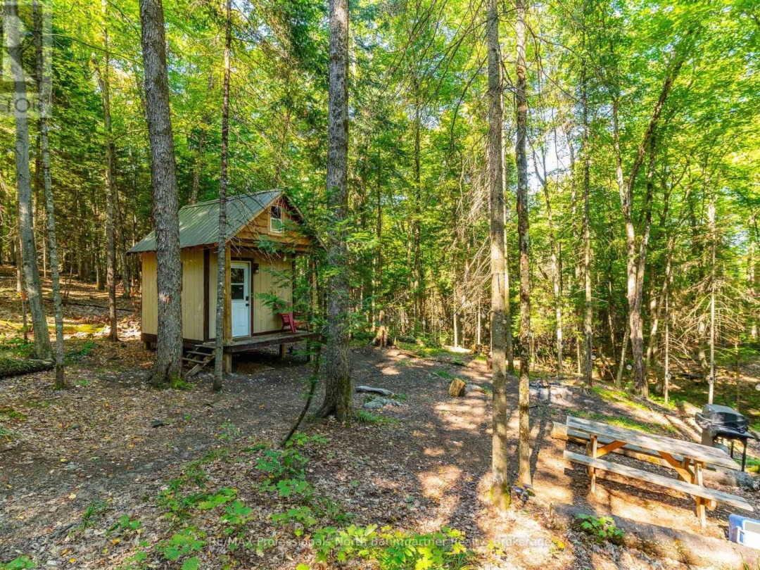 LOT 40 BASSHAUNT LAKE ROAD, 