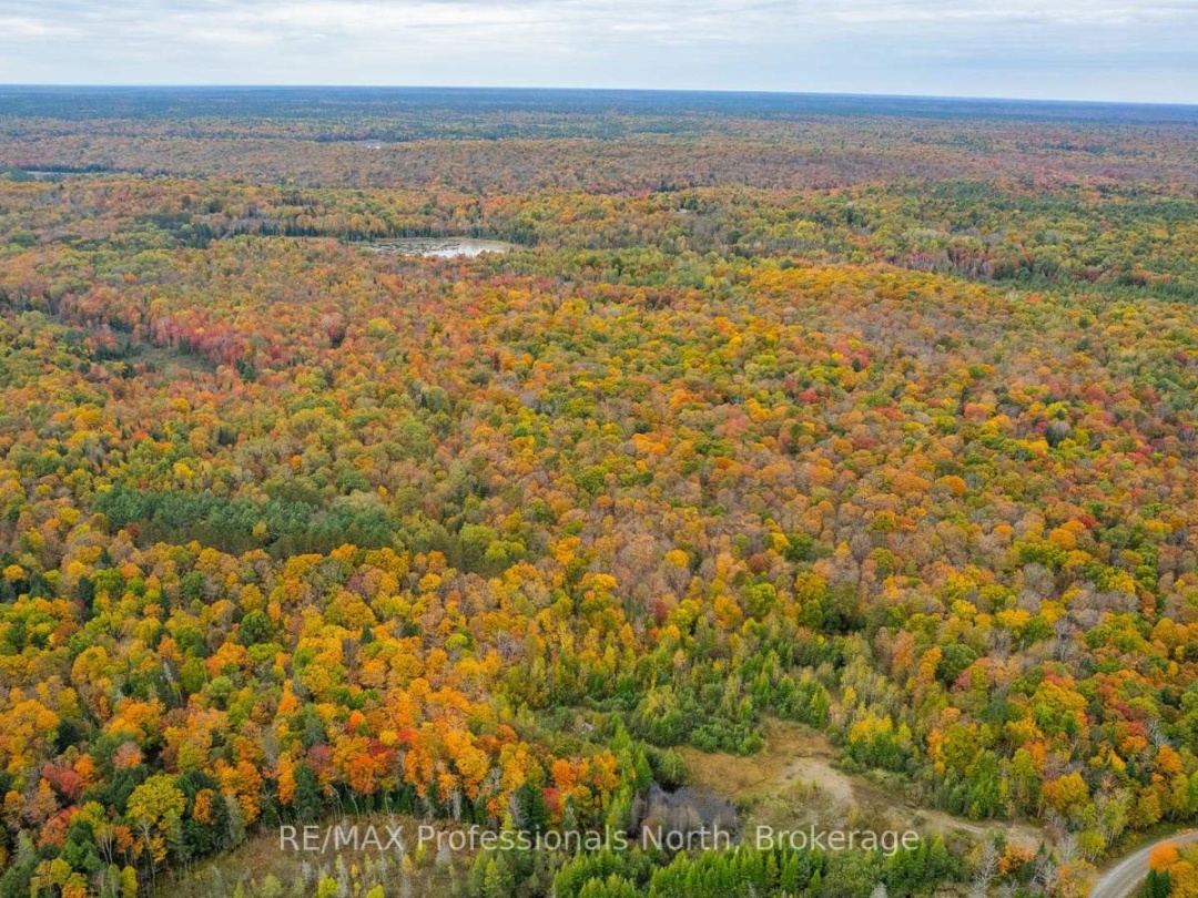 1600 BOBCAYGEON ROAD, 