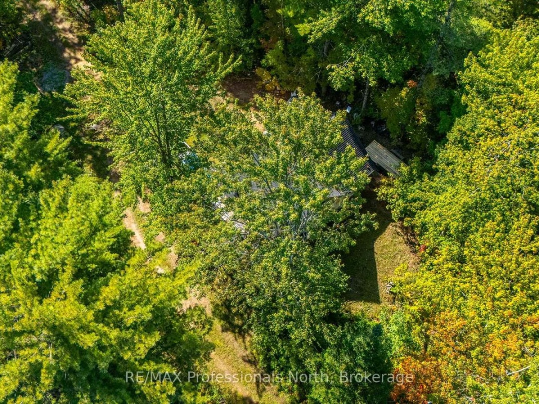319 BOUNDARY ROAD, 