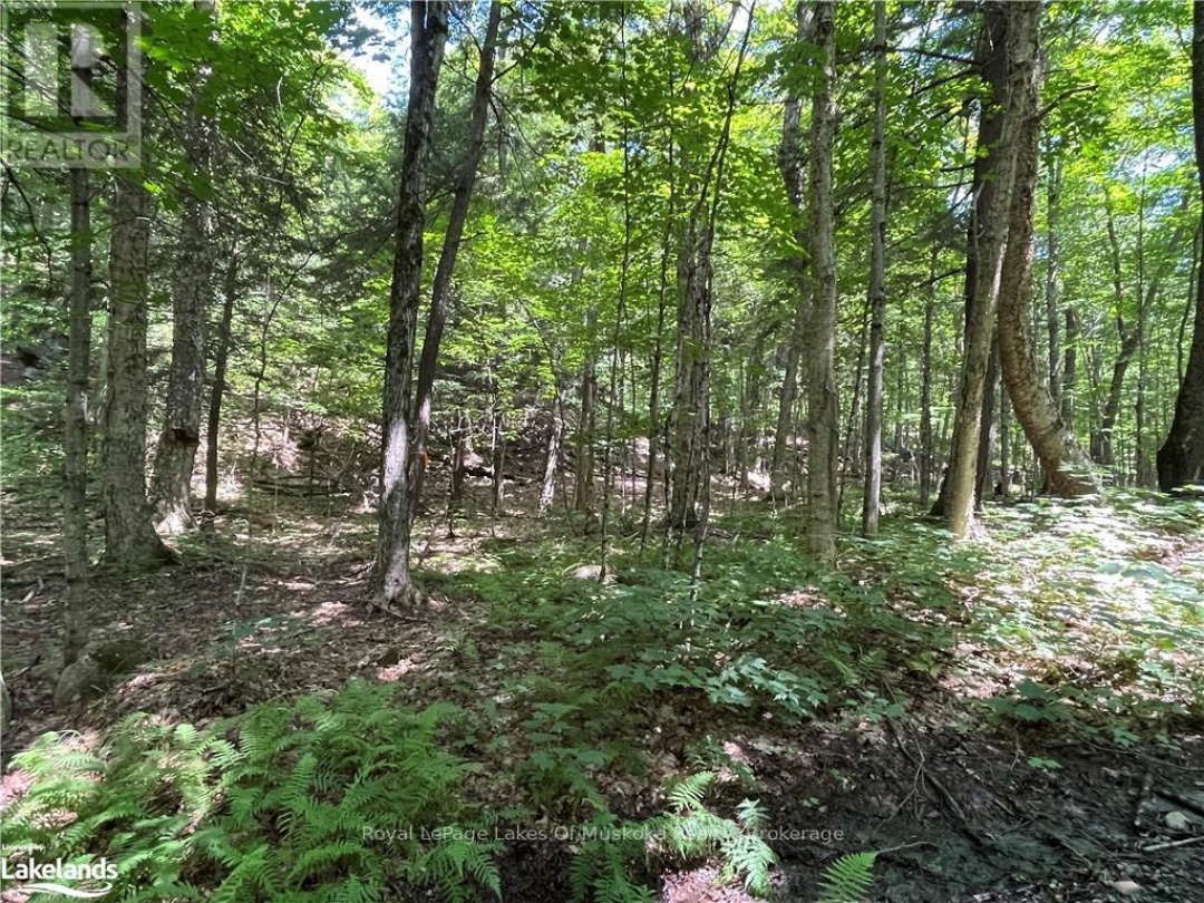 Lot 134 Brennan Circle, Lake Vernon
