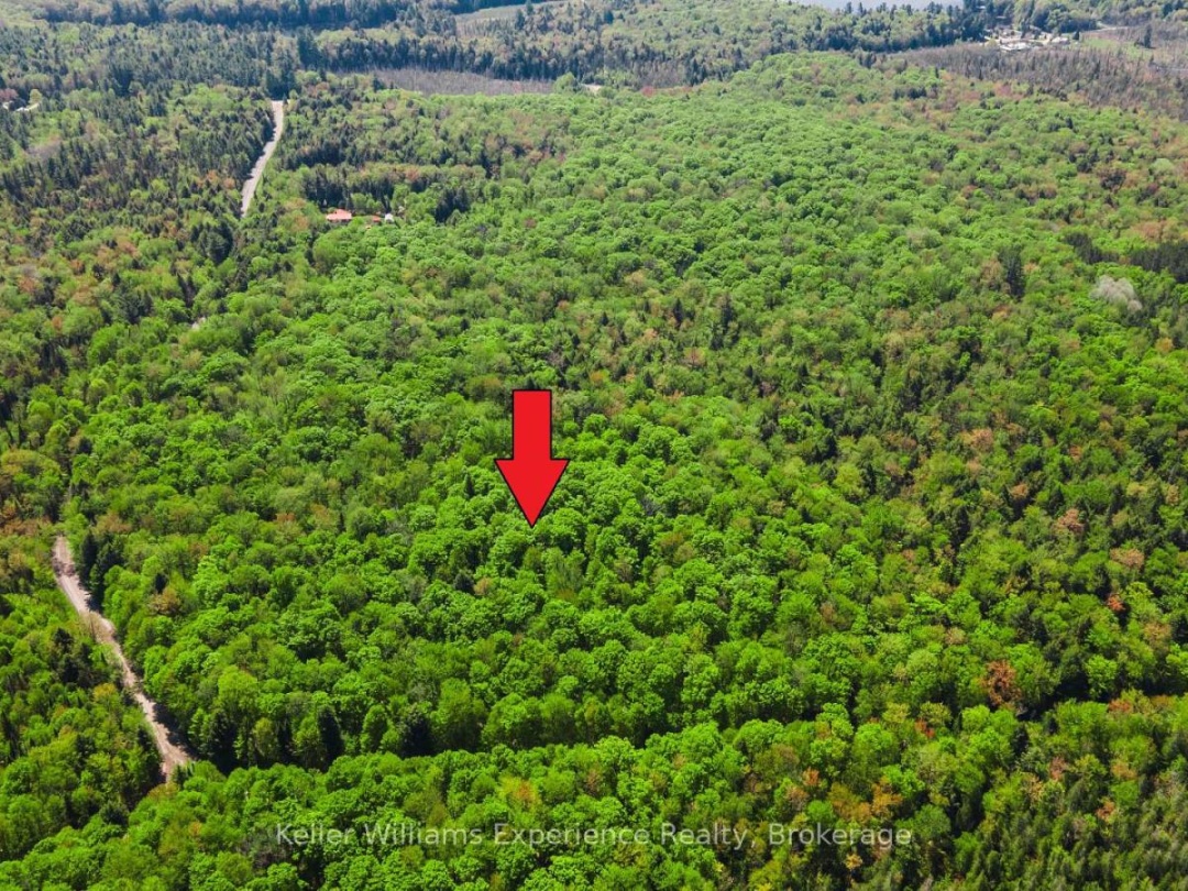 0 HEALEY LAKE ROAD, 