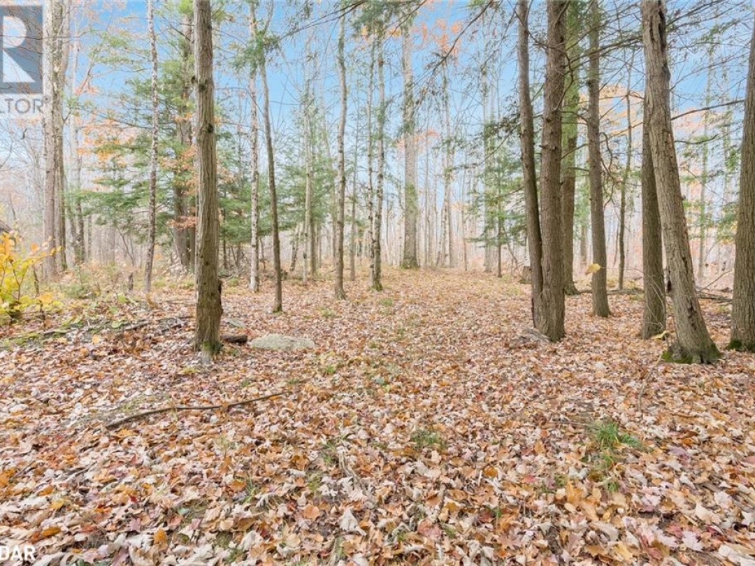 1474 Otter Point Road, Maclean Lake