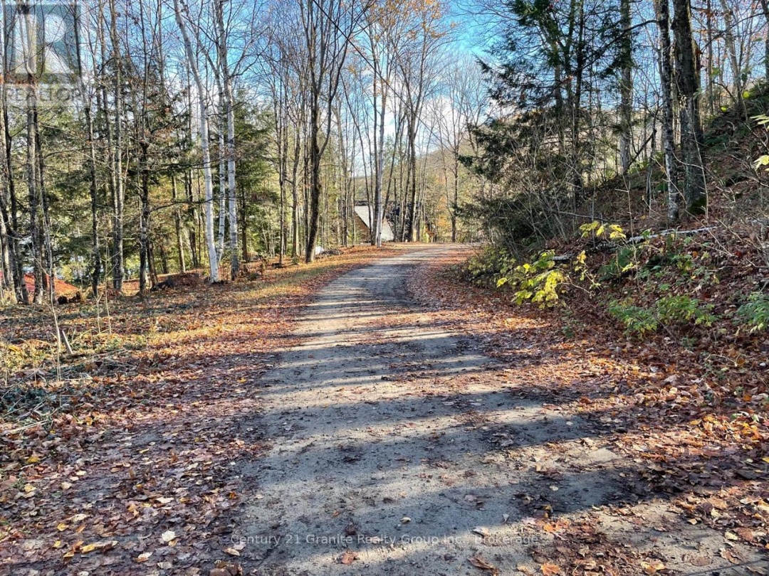 1038 BROKEN PADDLE ROAD, 