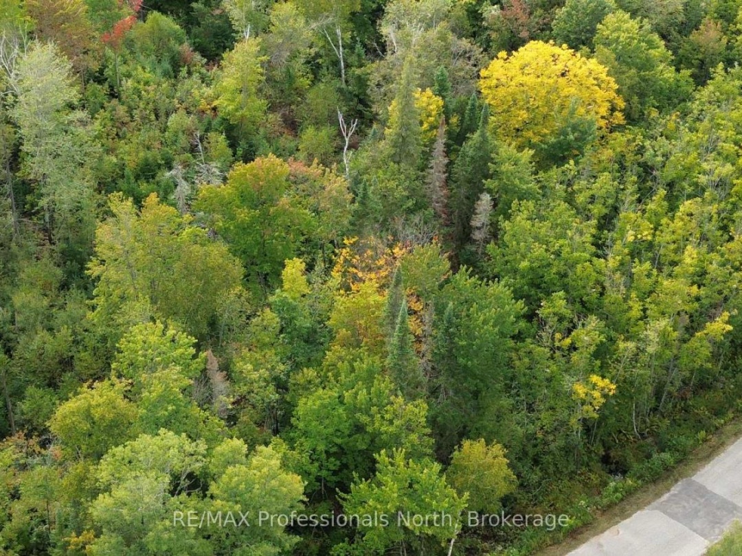 PCL 20438 & 29803 UPPER WALKER LAKE ROAD, Lake of Bays (Sinclair)