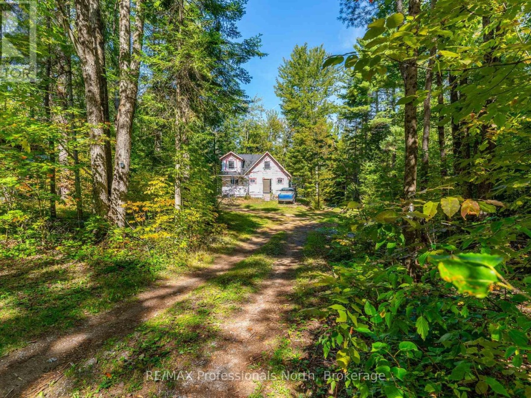319 BOUNDARY ROAD, 