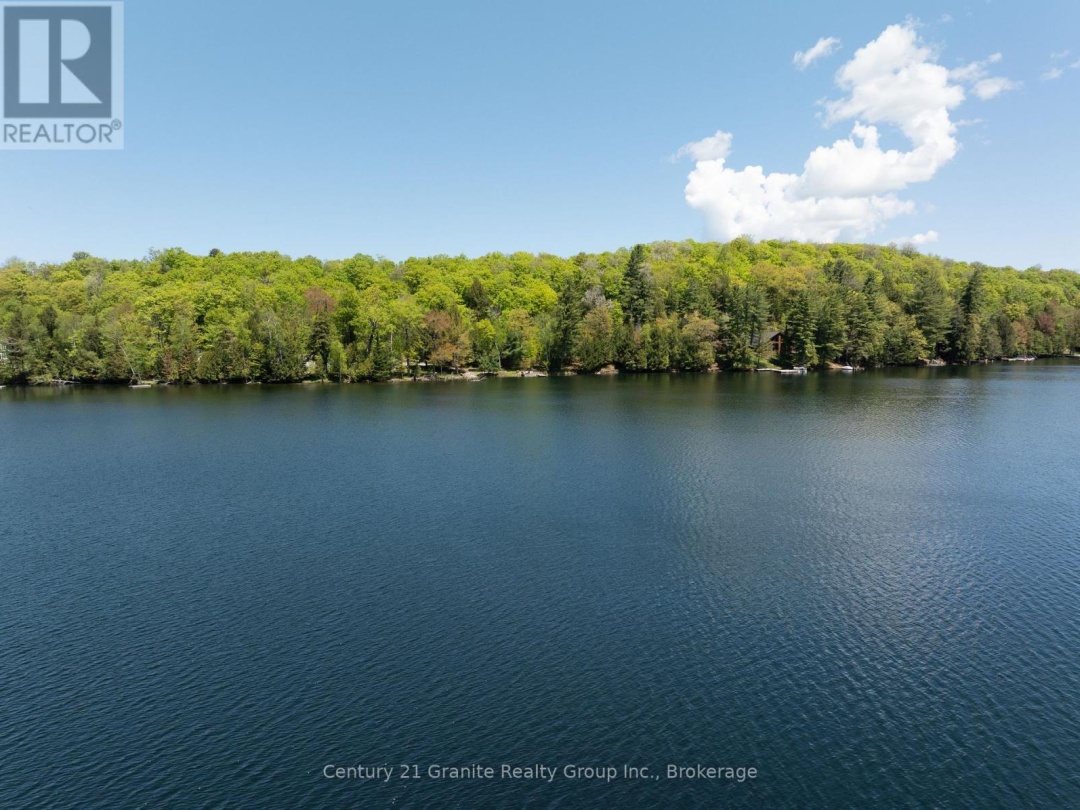 1145 Mink Road, Long Lake