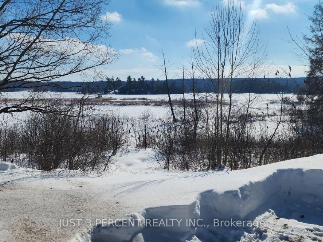 55 Northern Avenue, Little Bald Lake