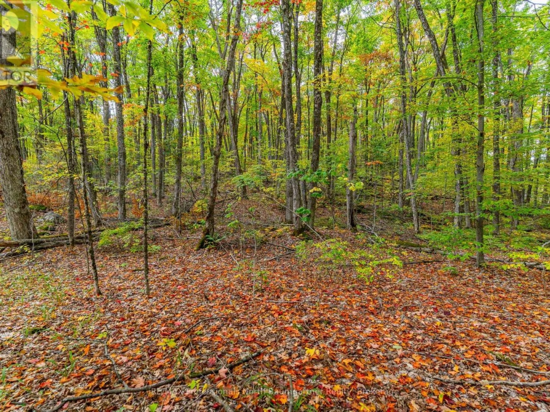 PART LOT 1 SALERNO LAKE ROAD, 