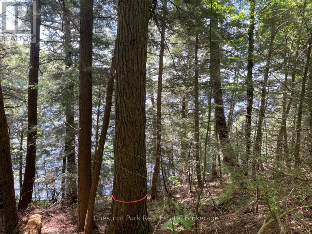 0 Minnow Drive, Kennisis Lake