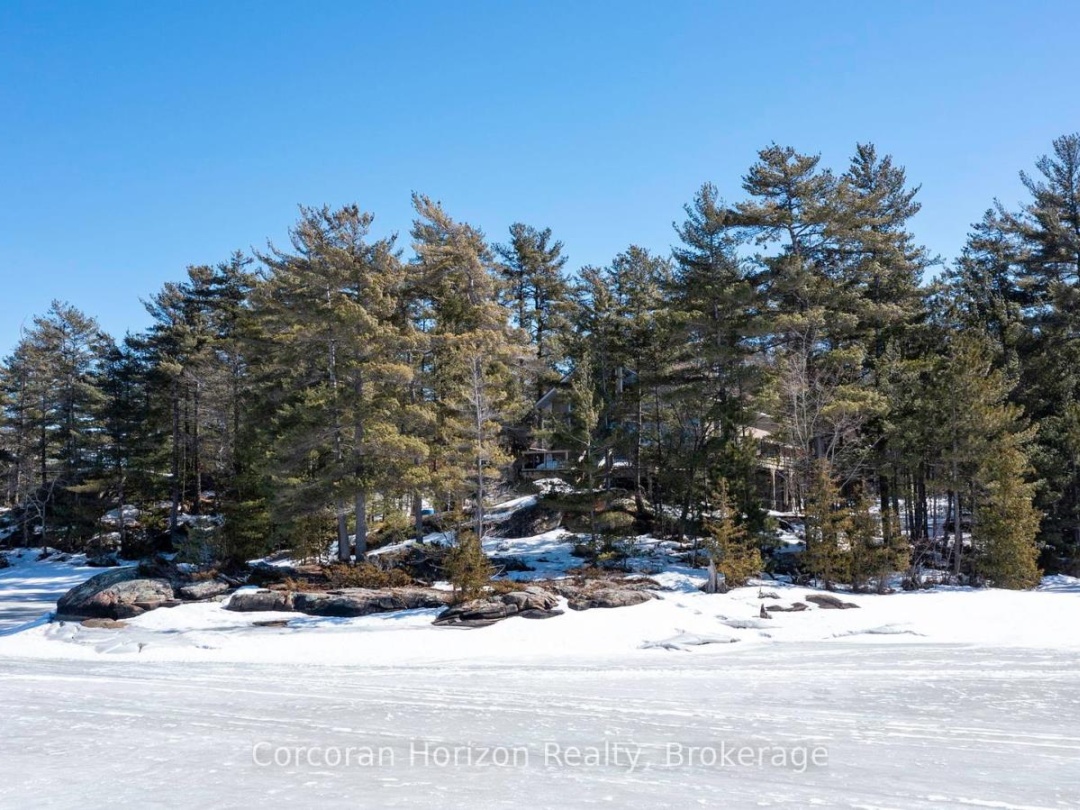 Pt Island 45 In Six Mile Lake, Six Mile Lake