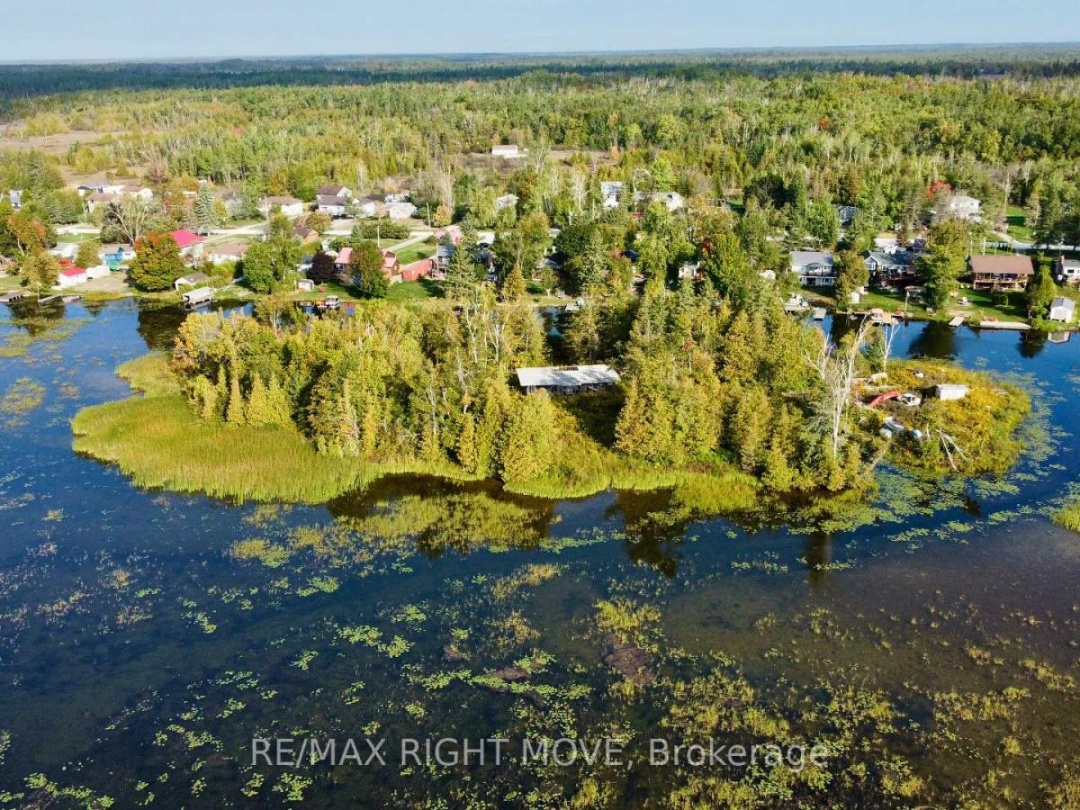 175 MCGUIRE BEACH ROAD, 
