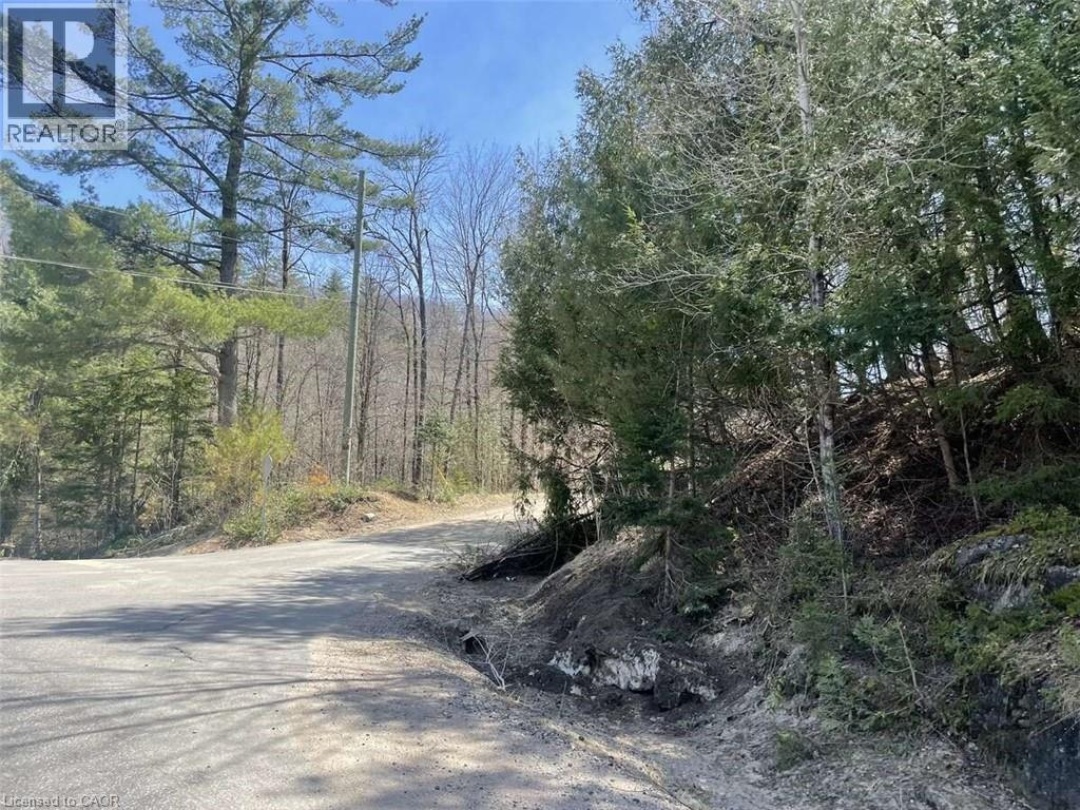 LOT 1 COLONIAL Road, 