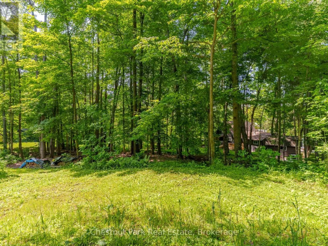 115 WOODLAND DRIVE, 