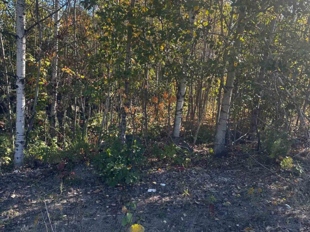 23 FREELAND DRIVE, 