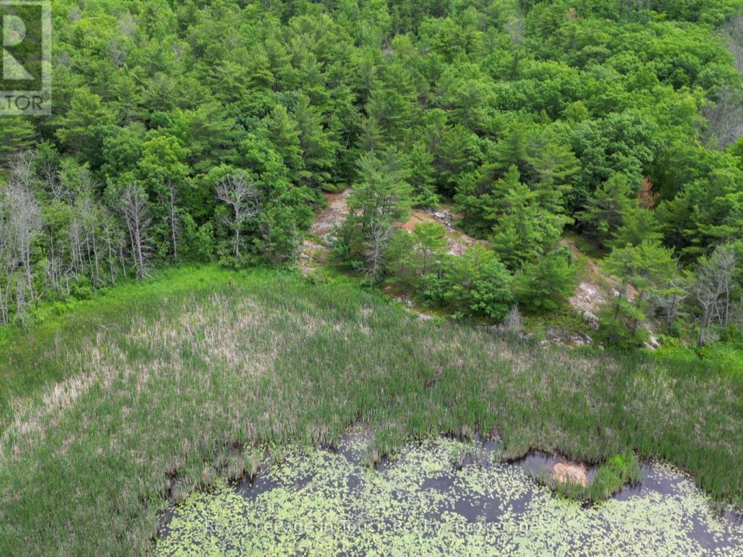 180 PRISQUE ROAD, Georgian Bay