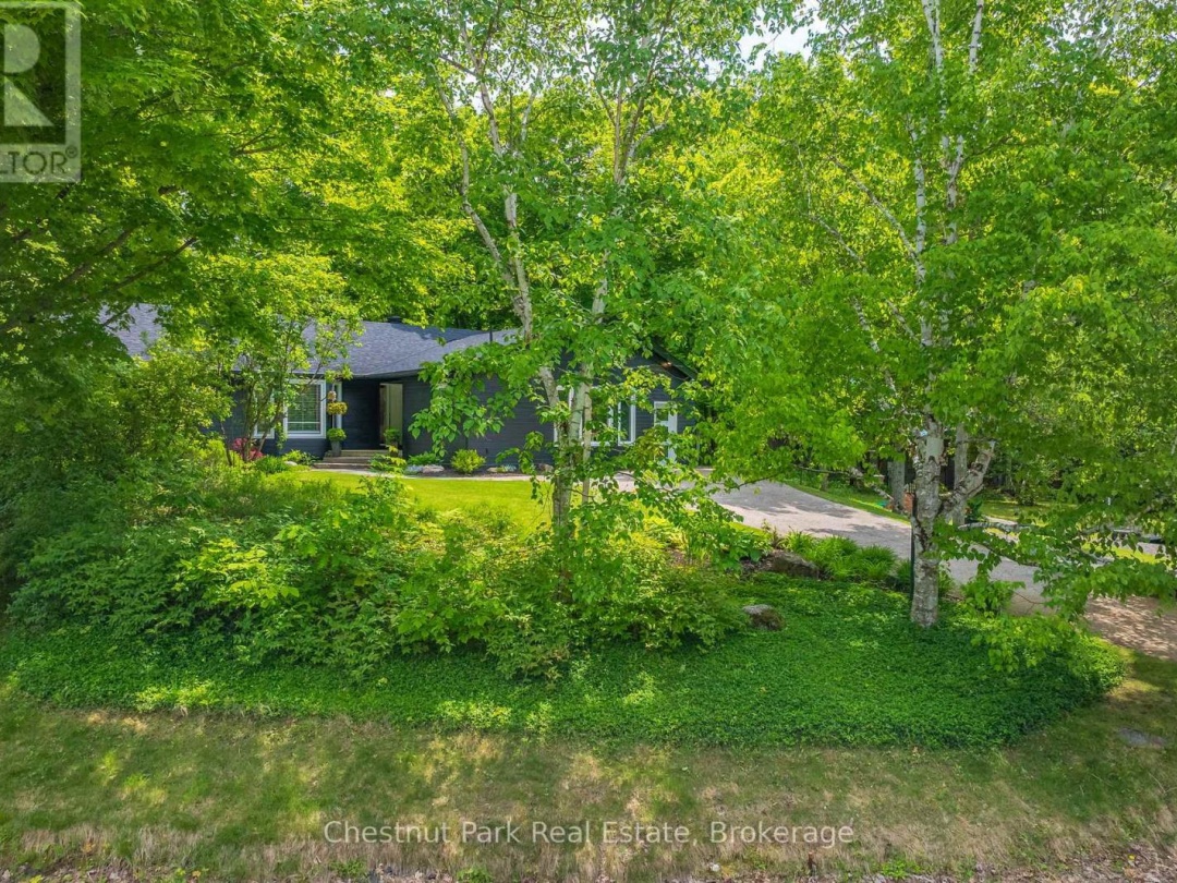 245 SUMMIT DRIVE, 
