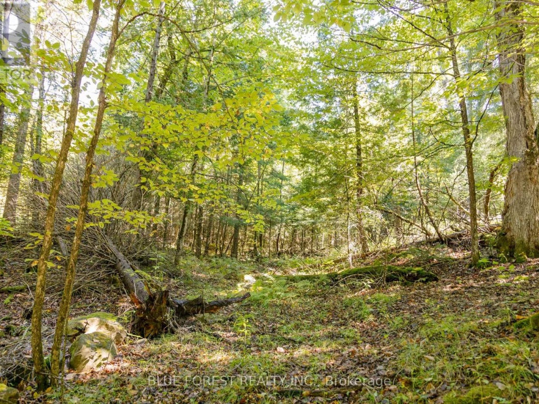 Lot 69 25Th Line, Maple Lake