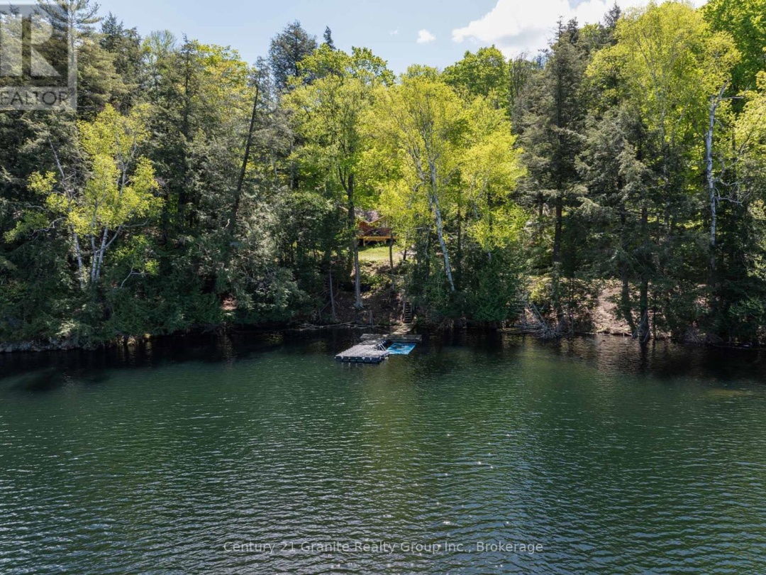 1145 Mink Road, Long Lake