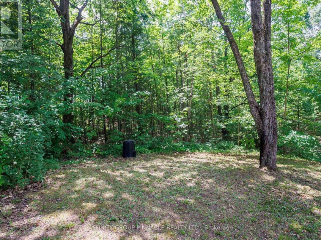 46 CREEK VIEW ROAD, 