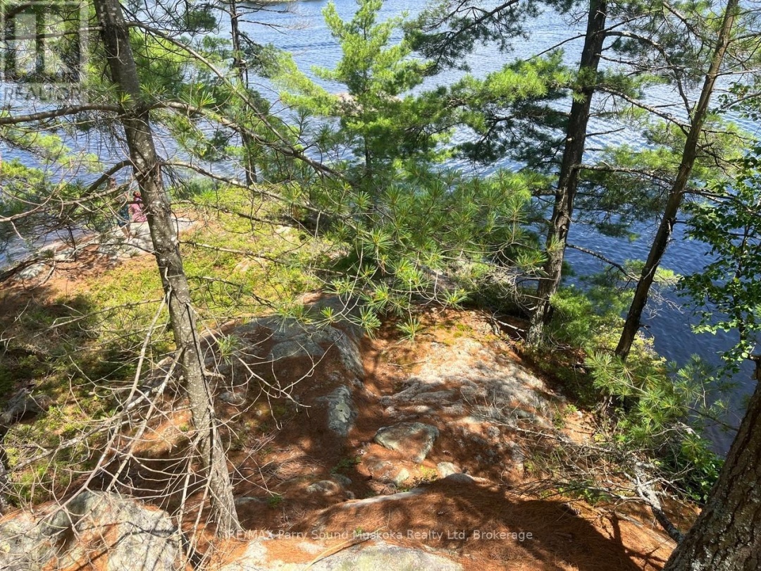 3 Sandy Hook, Wahwashkesh Lake