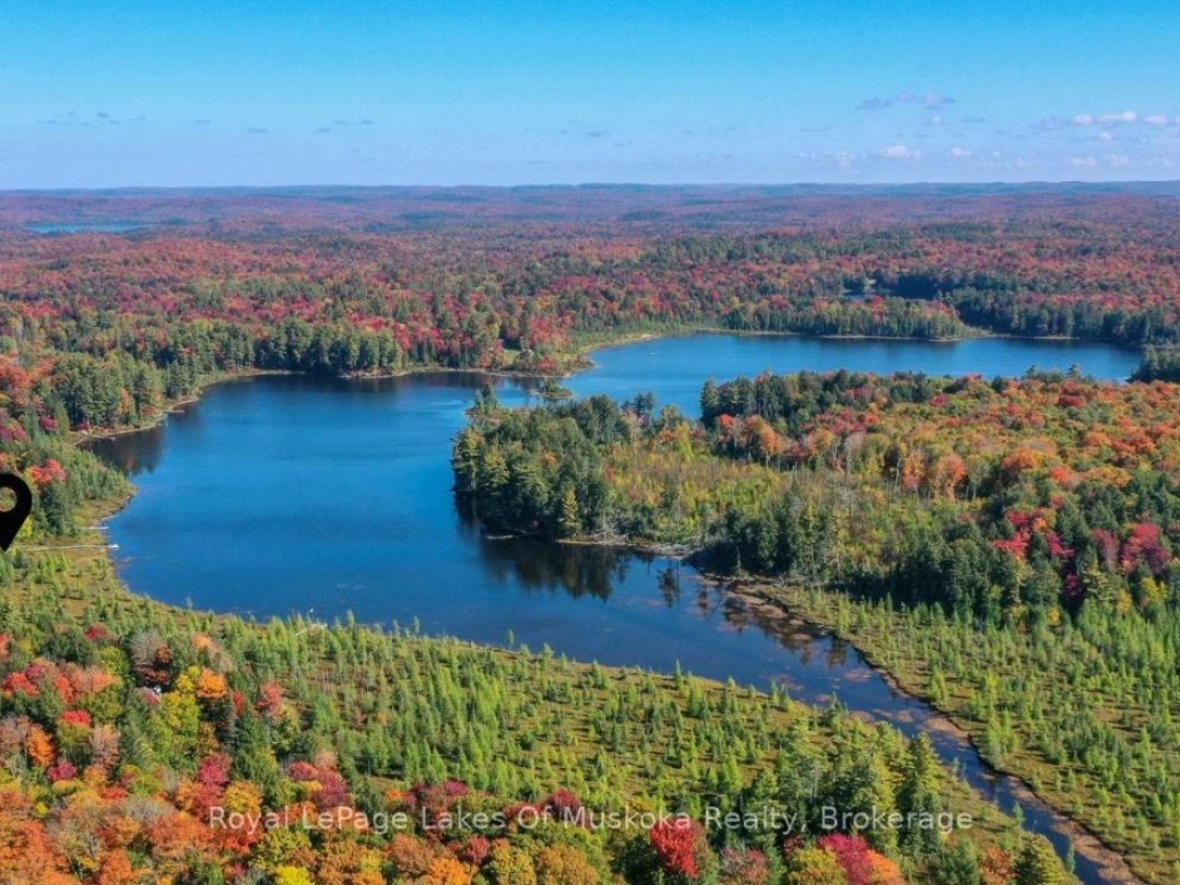 1420 LIMBERLOST ROAD, 