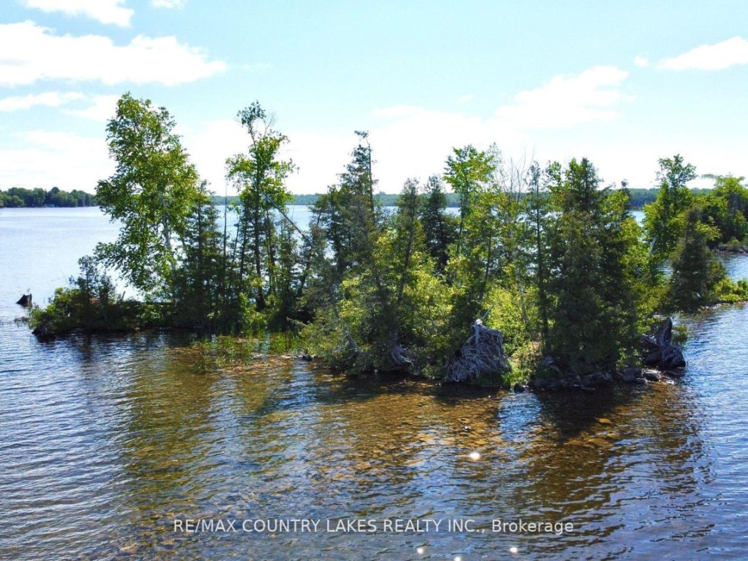 Lt 1 Island, Canal Lake