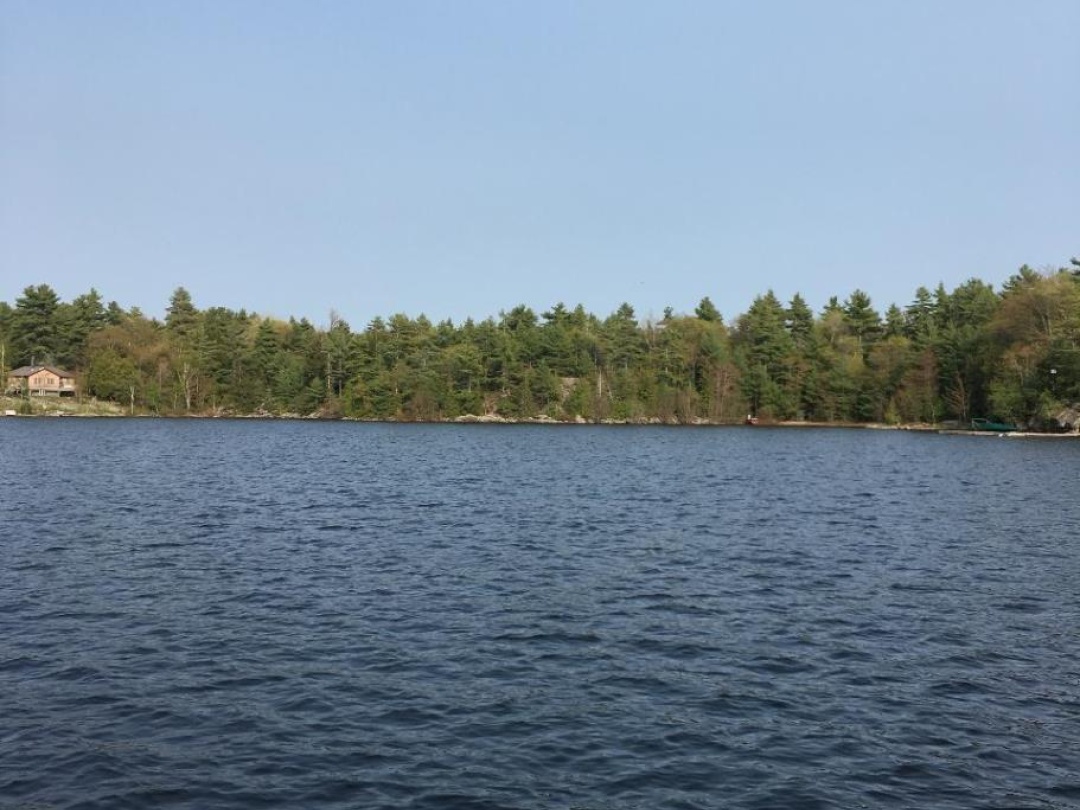 15212 GEORGIAN BAY SHORE,