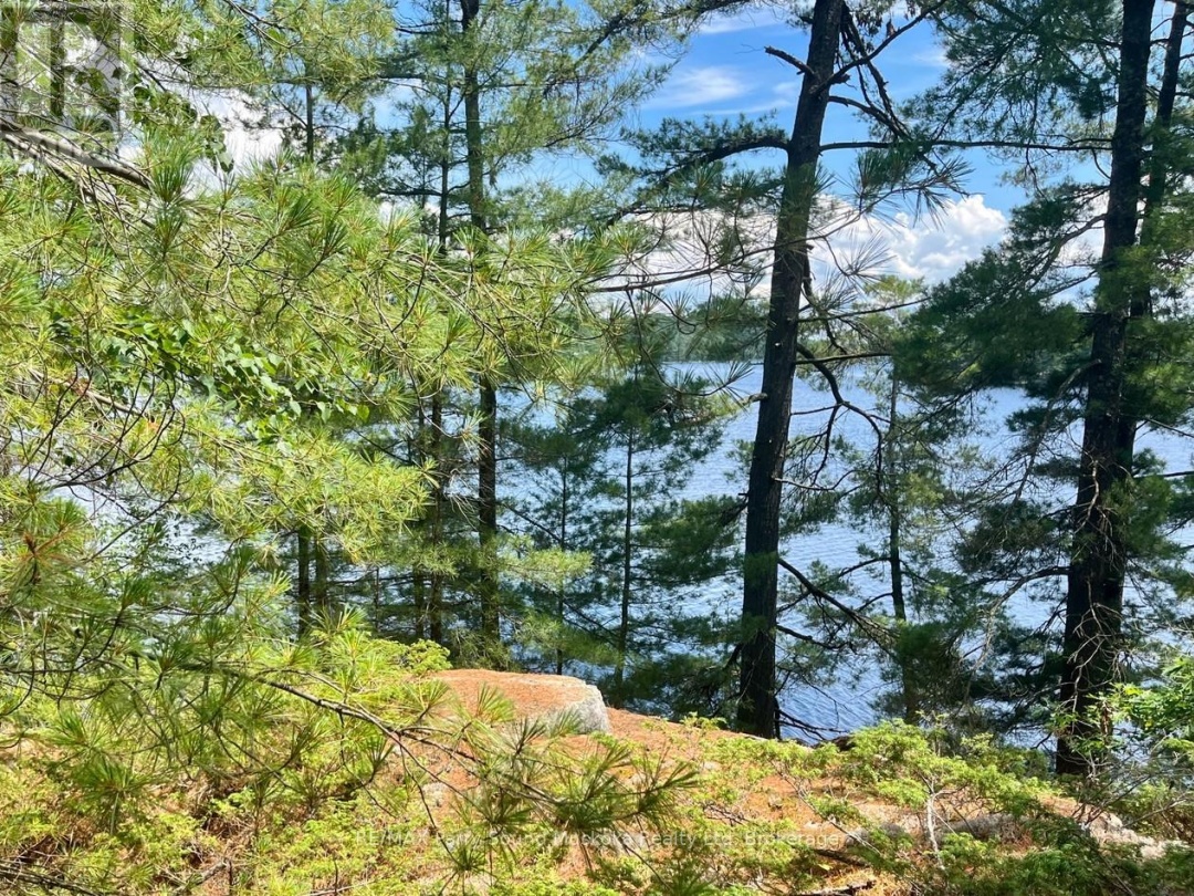 3 Sandy Hook, Wahwashkesh Lake