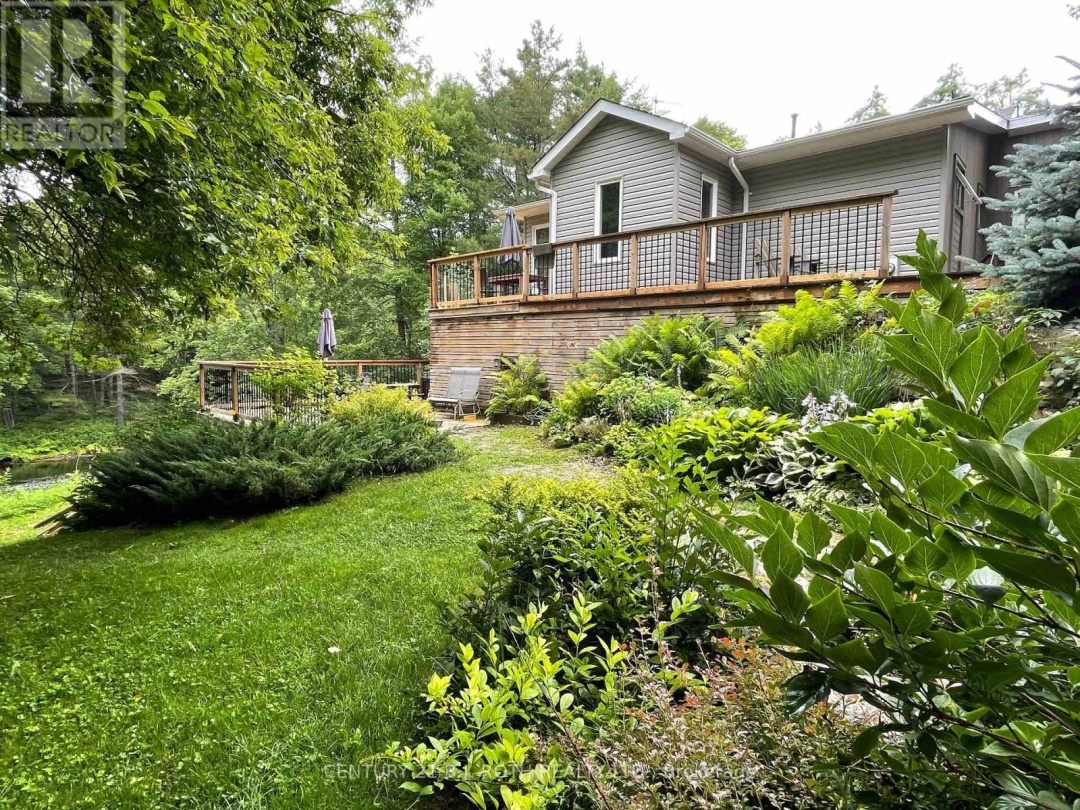 8101 KINGS RIVER ROAD, Black River