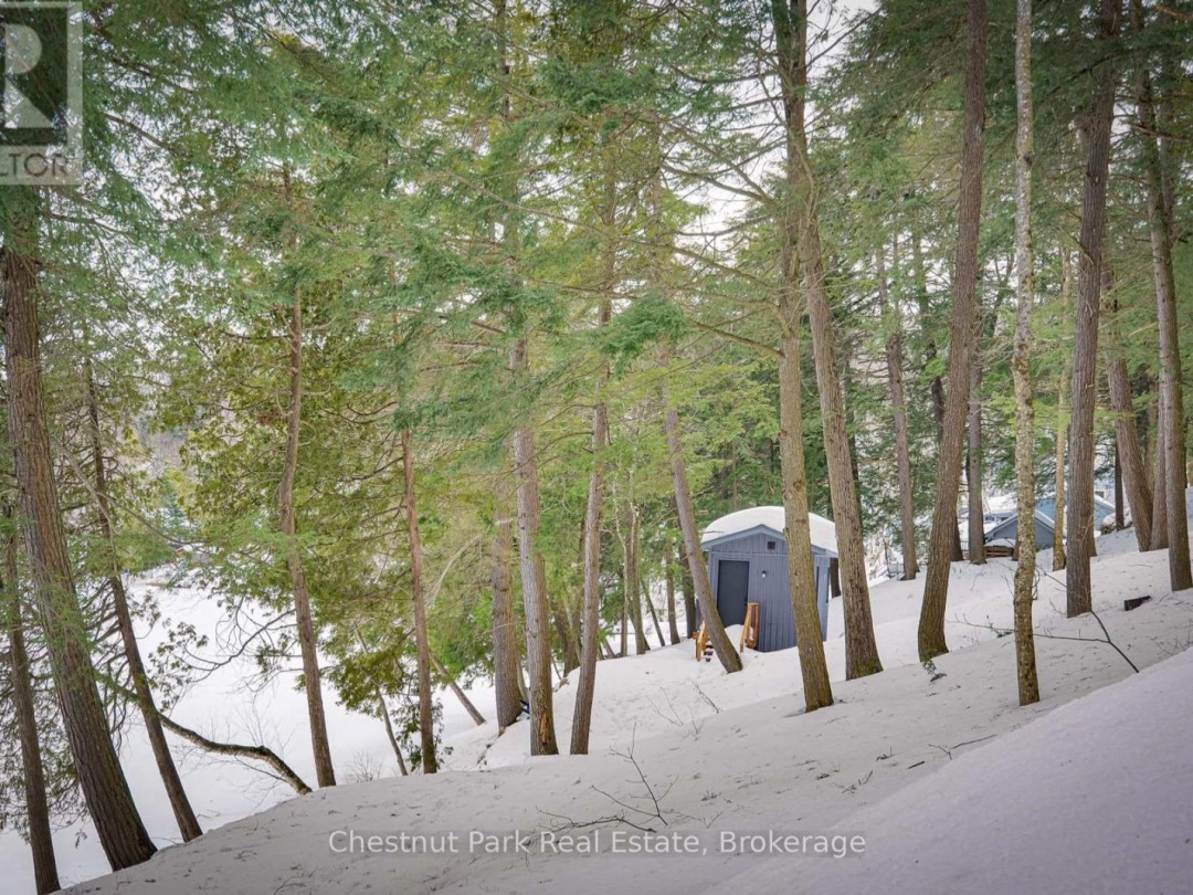 2438 Kushog Lake Road, Kushog Lake