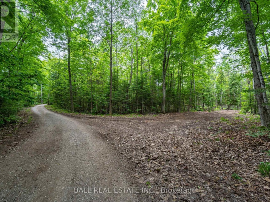 0 Mill Line Road, Pigeon Lake