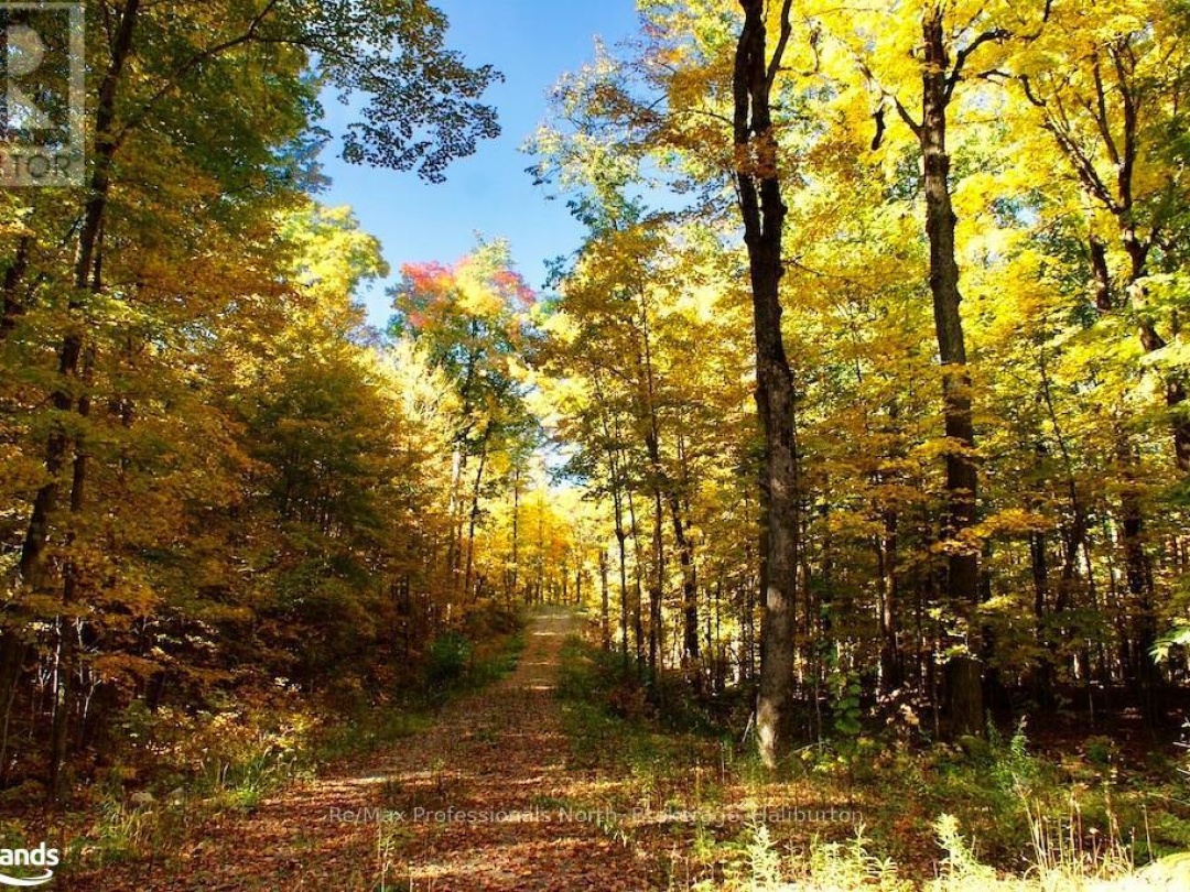 0 Highway 35, Otter Lake