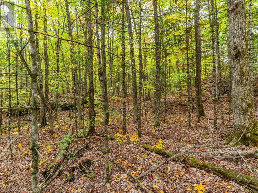 PART LOT 1 SALERNO LAKE ROAD, 