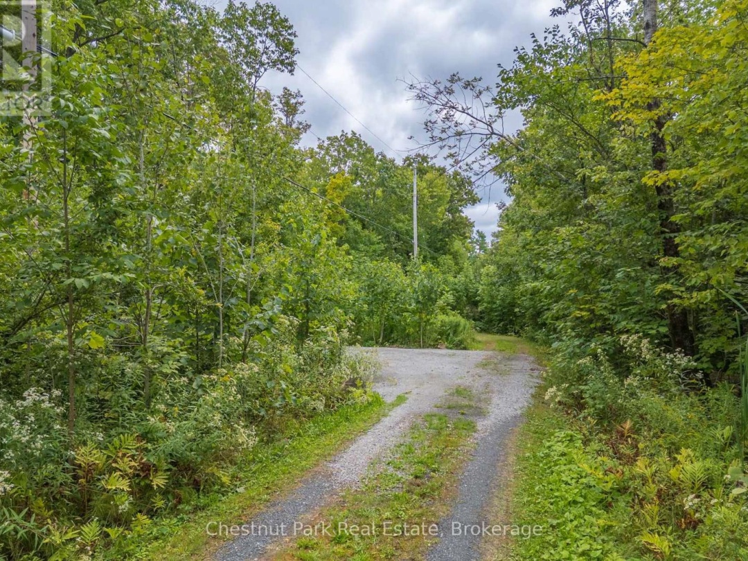 517 MOHAWK ROAD, 
