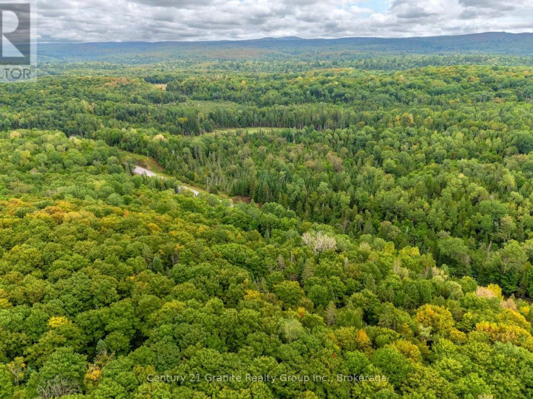 19221 HIGHWAY 118, 