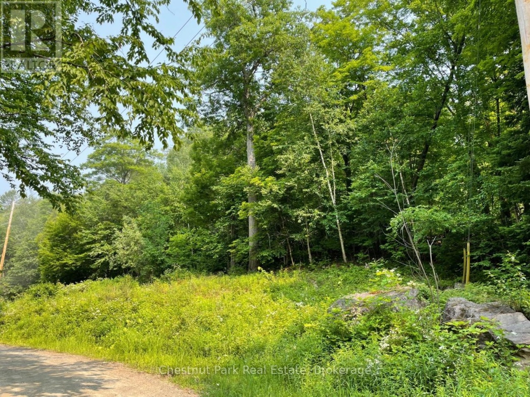 PT 1 COLEMAN LAKE ROAD, 