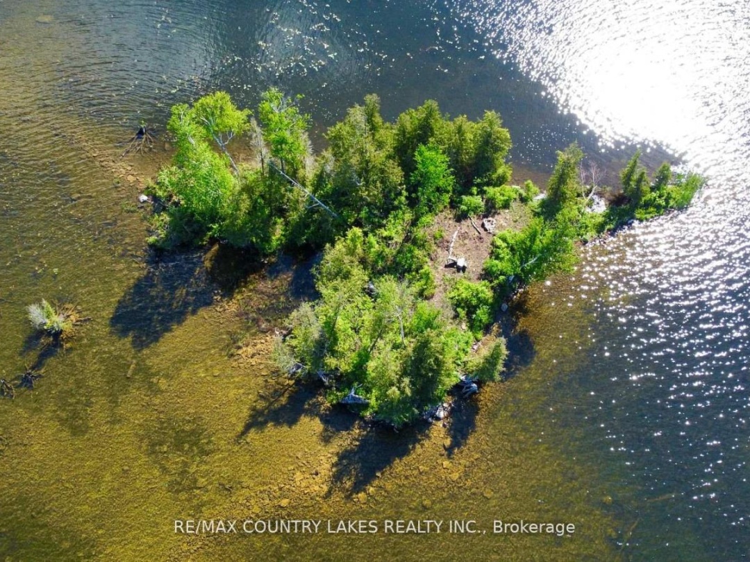 Lt 1 Island, Canal Lake