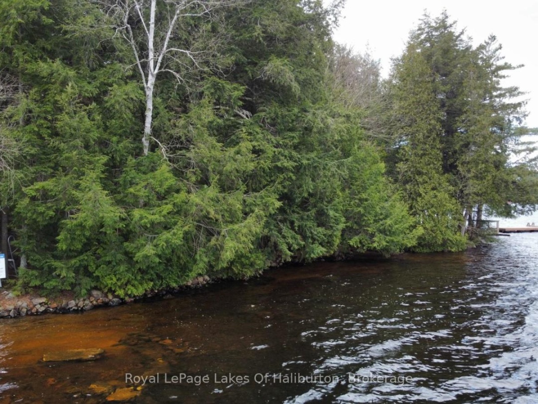 1017 Palace Drive, Little Kennisis Lake