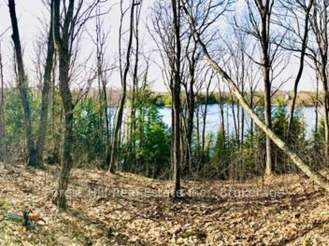 60 Hawksview Lane, Faris Lake