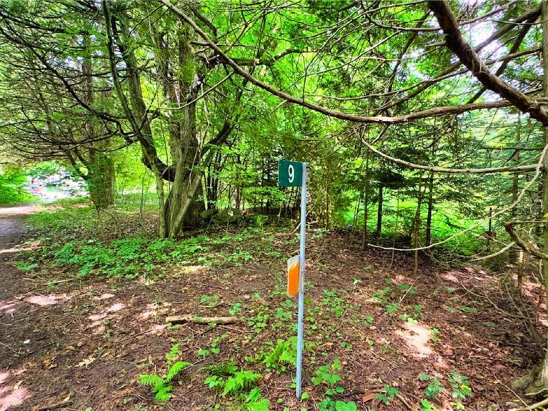 9 Beach Road, Bass Lake
