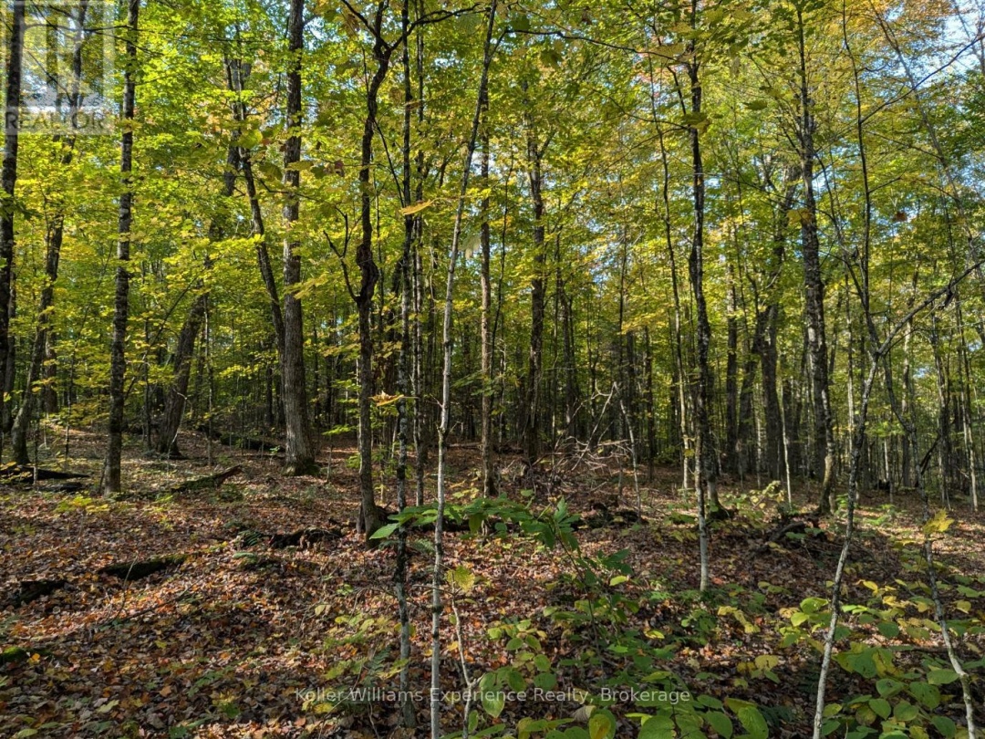 0 HEALEY LAKE ROAD, 