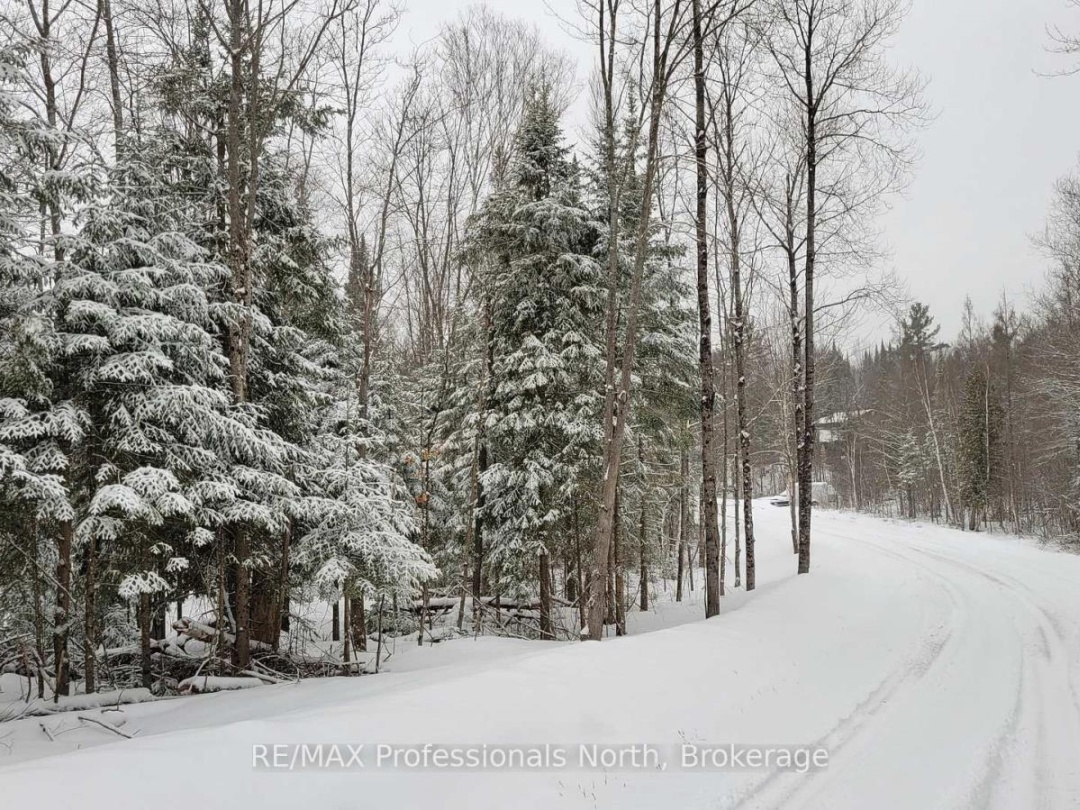 Pcl 20438 & 29803 Upper Walker Lake Rd Road, Lake of Bays (Sinclair)