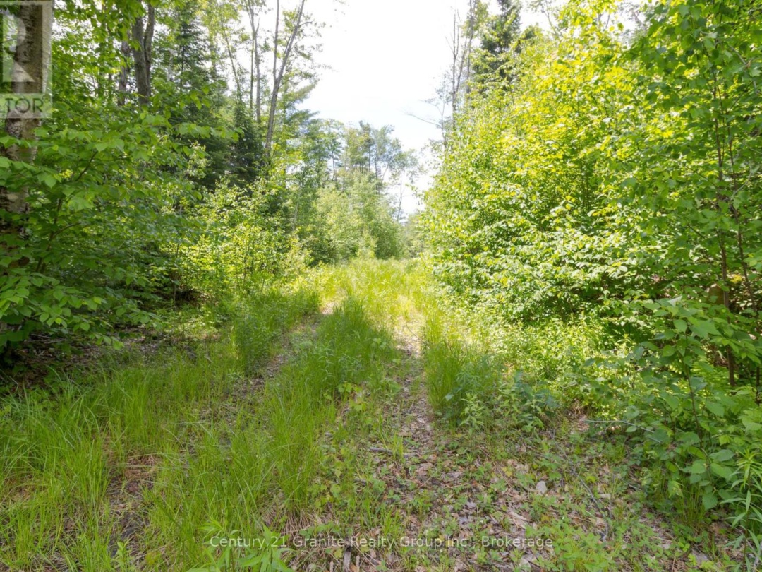 0 HALIBURTON LAKE ROAD, 
