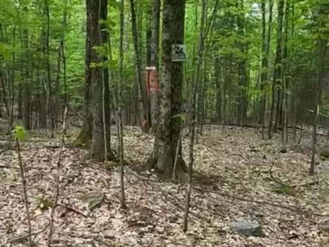 Lot 22 Select Trail, Drag Lake
