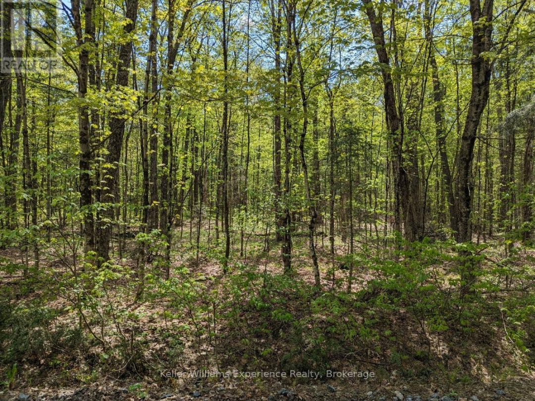 0 HEALEY LAKE ROAD, 