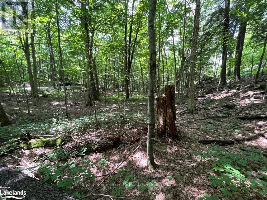 Lot 134 Brennan Circle, Lake Vernon