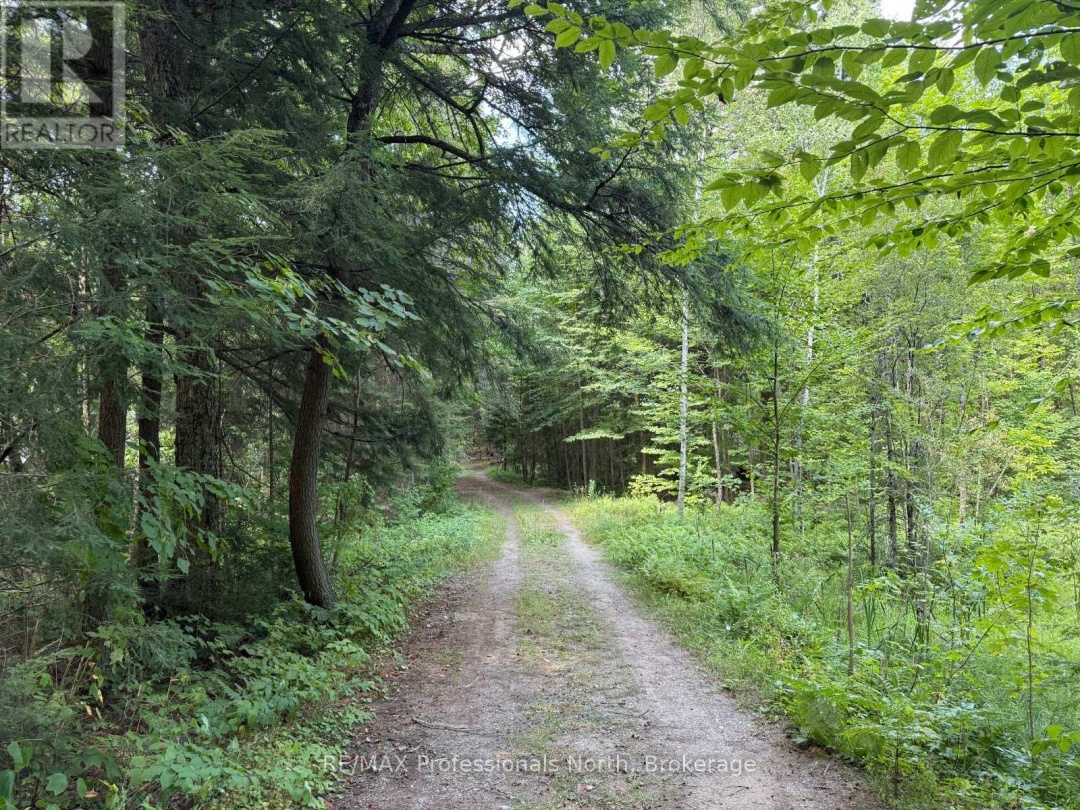 2169 FRED JONES ROAD, 