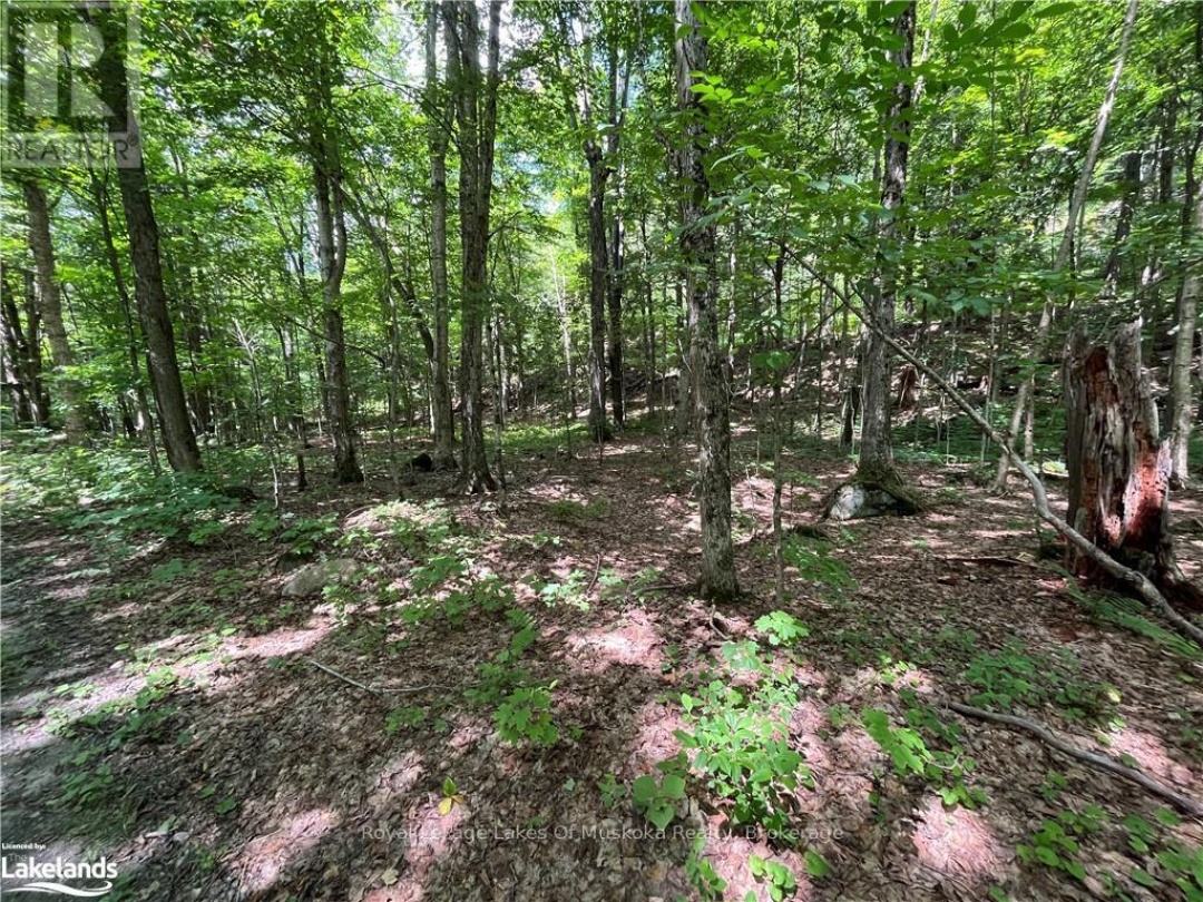 Lot 134 Brennan Circle, Lake Vernon